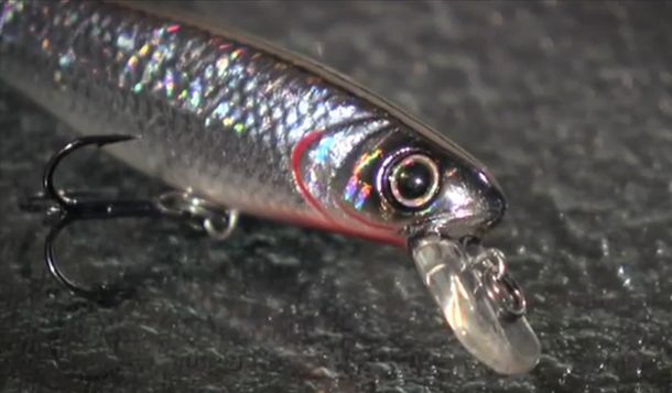 VIDEO: How to use – Storm WildEye Minnow Medium